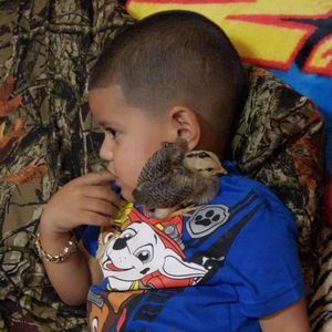 Meet your Posher, Julia